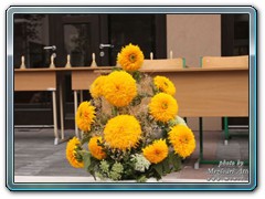 IMG_7667_JPG-1