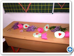 DSCN0794