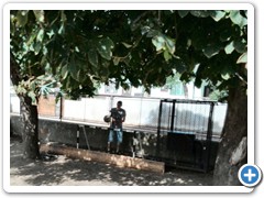 IMG_20150918_135021