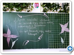 Image0017