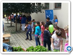 IMG_20190607_091041