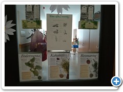 IMG_20191112_104230