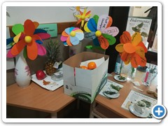 IMG_20191115_115852
